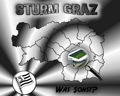 SK Sturm Graz 234955