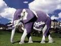 I ♡ MILKA 94620