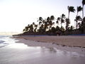 Strand- Bavaro 617062