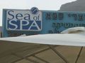 SEA OF SPA 628742