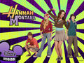 HANNAH MONTANA (Miley Cyrus) 646486