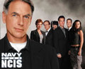 NCIS 105601