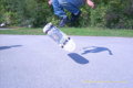 Rodney Mullen 109429