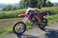 Bauernbua.....Derbi DRD Racing 713520