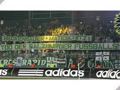 SK Rapid Wien 49496