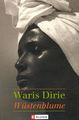 FGM-> basirend auf Waris Dirie 274752