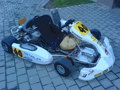 Mein Kart 206337