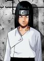 Neji 700905