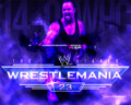 undertaker 124765