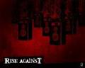 Rise Against 124865