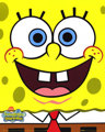 Spongie 125245