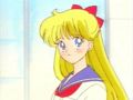 sailor venus 230537