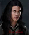 Jacob Black & co. 715931