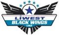 Black Wings 725081