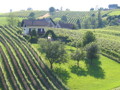 Auf zum Wein 154515