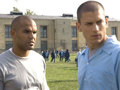 Prison Break 146308