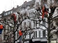 Men in trees 160134