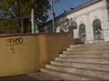 Skatepicsss 164802