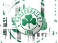 Panathinaikos Athen 180273