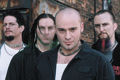 Disturbed 196100