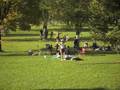 Slackline Treffen Linz 194638