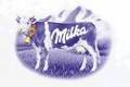 Milka Produkte 201329