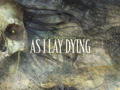 As I LAy Dying 29952