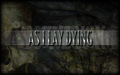 As I LAy Dying 29963