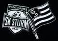 sk sturm 207071