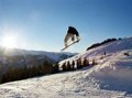 Snowboarder 210859