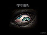 Userfoto von toolband