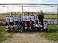 Userfoto von Wsc_Hertha_U13