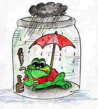 WetterFrosch