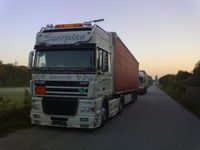 Userfoto von sunset81