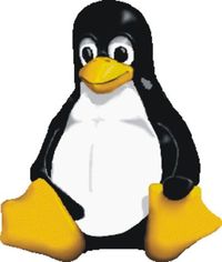 Userfoto von pinguin2000