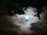 Userfoto von moonlight_lady