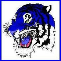 Blue-Tiger