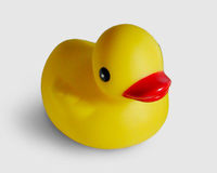 -RuBbErDuCkY-