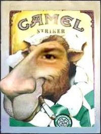 _-Camel-_