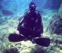 Userfoto von Diver