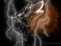 Userfoto von wildwolf
