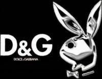 dolce_and_gabbana2