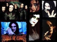 Userfoto von Daniel_Filth666