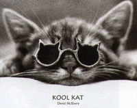 Cool_Cat