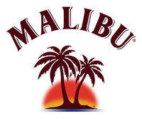 malibu_rising