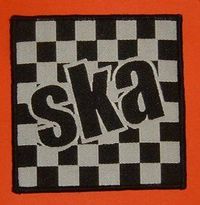 Mr-SKA