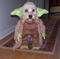 Userfoto von Yoda70