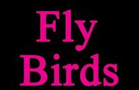 Fly_Birds_DJ-Team