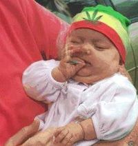 RegGaE_FlO