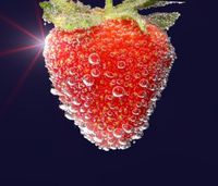 _XxStrawberryxX_